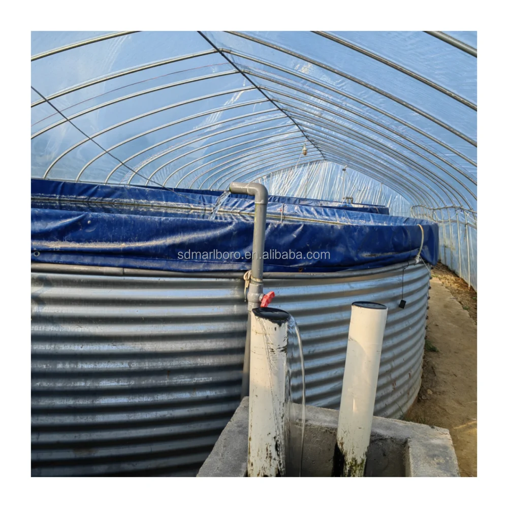 Customized Outdoor Tilapia Fish Farming Bbreeding System Other Aquaculture Equipment Ssupplies