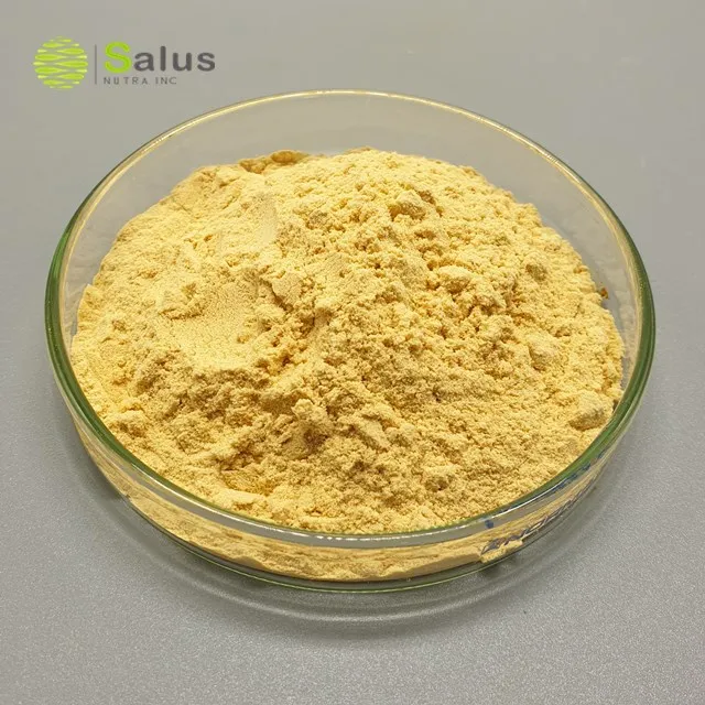 Порошок экстракта Luo Han Guo Mogroside V 25% 80%, порошок экстракта монаха