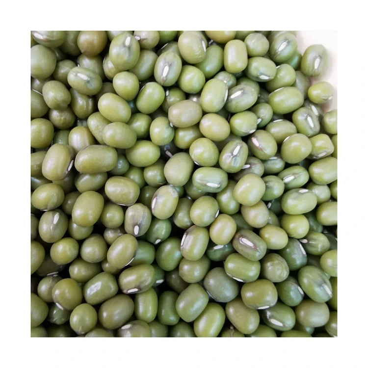 Agricultural crop green mung bean buyers with lower price
