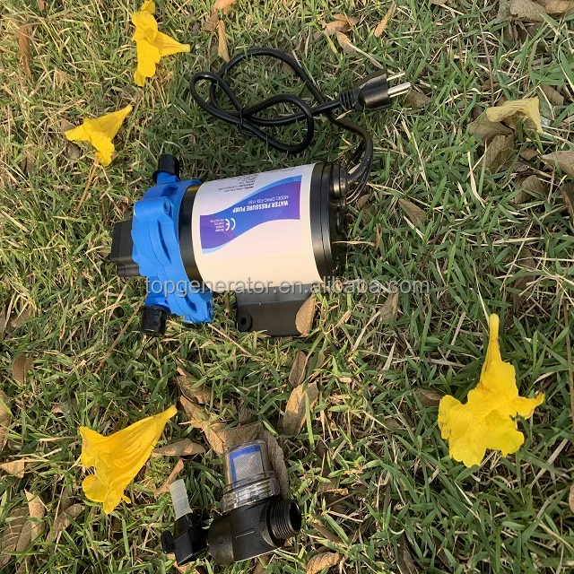 Marine spray agriculture micro electric diaphragm pump self suction water pump 220V AC