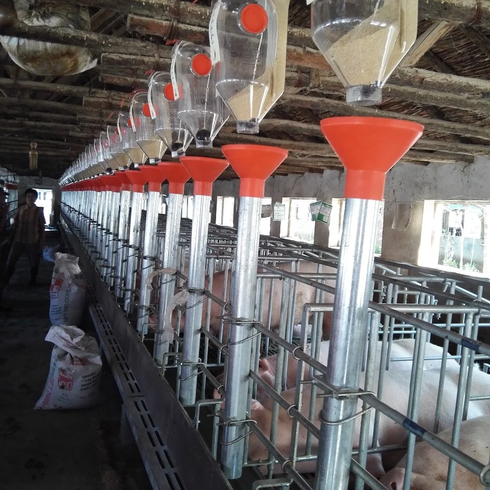 wholesale automatic pig farming equipment