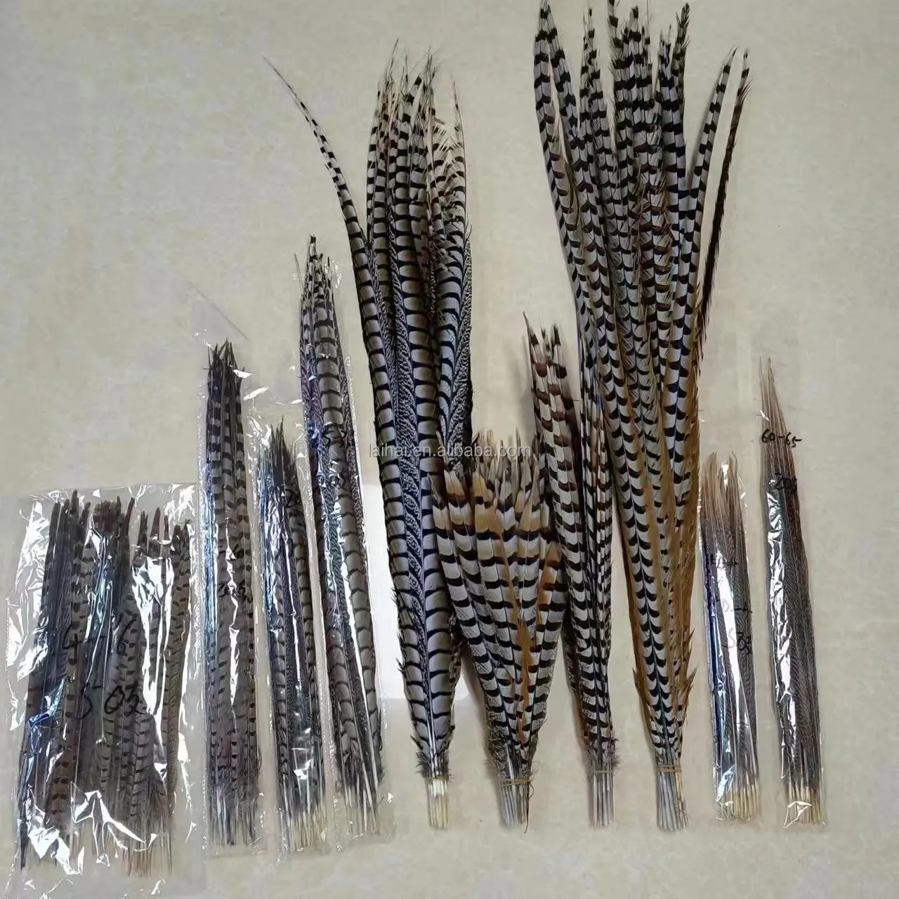 Wholesale dyed colorful long pheasant feathers natural reeves pheasant feathers for carnival decoration