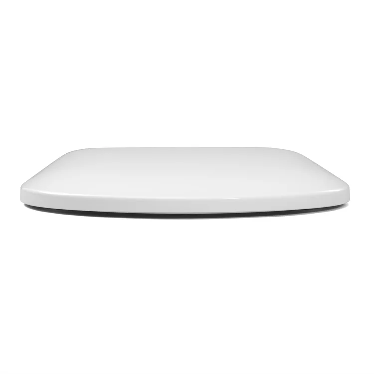 Hight Quality Size White Family Beautiful Cheap Seats D Shape Toilet Seat