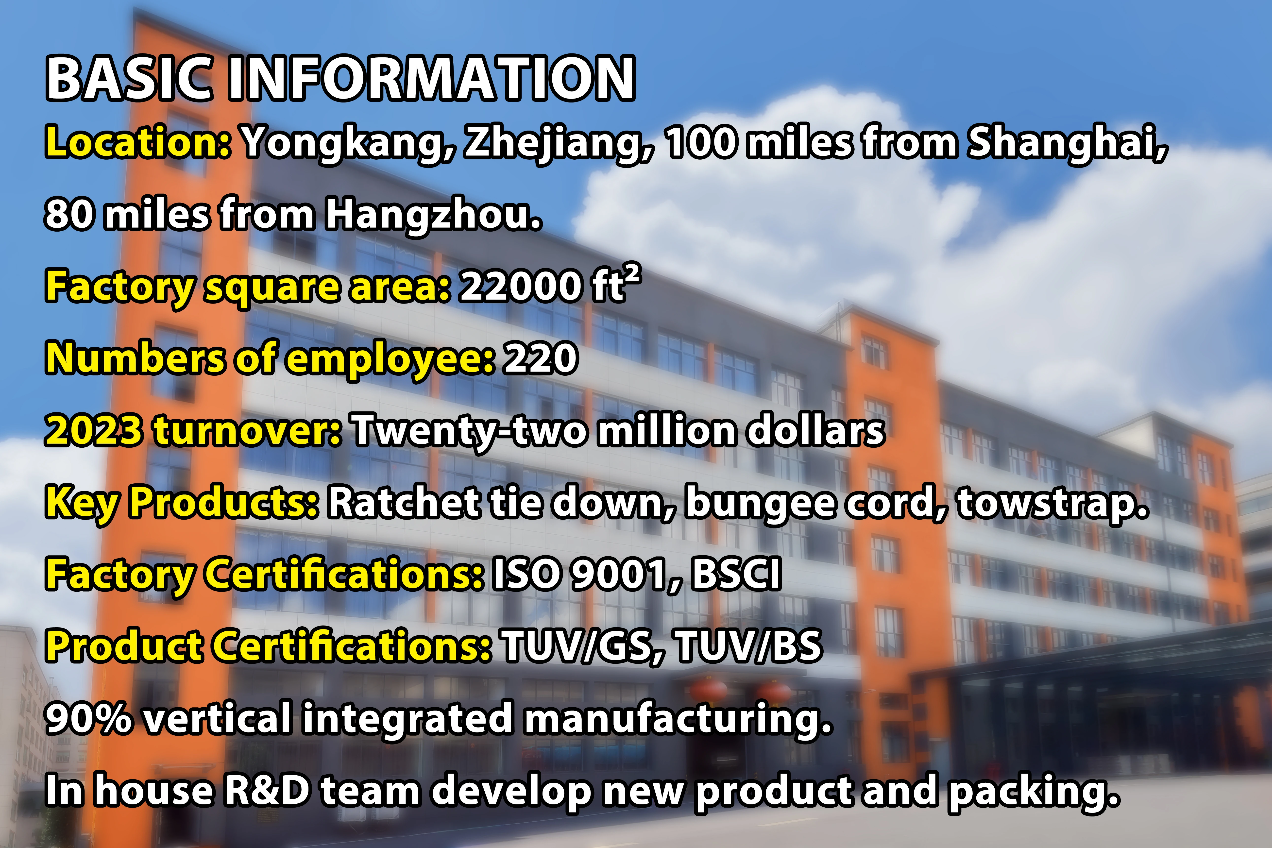 9pcs Tarp & Bungee Kit Bungee Cord with Hook Set Elastic Tie Down Strap Bungee Cord