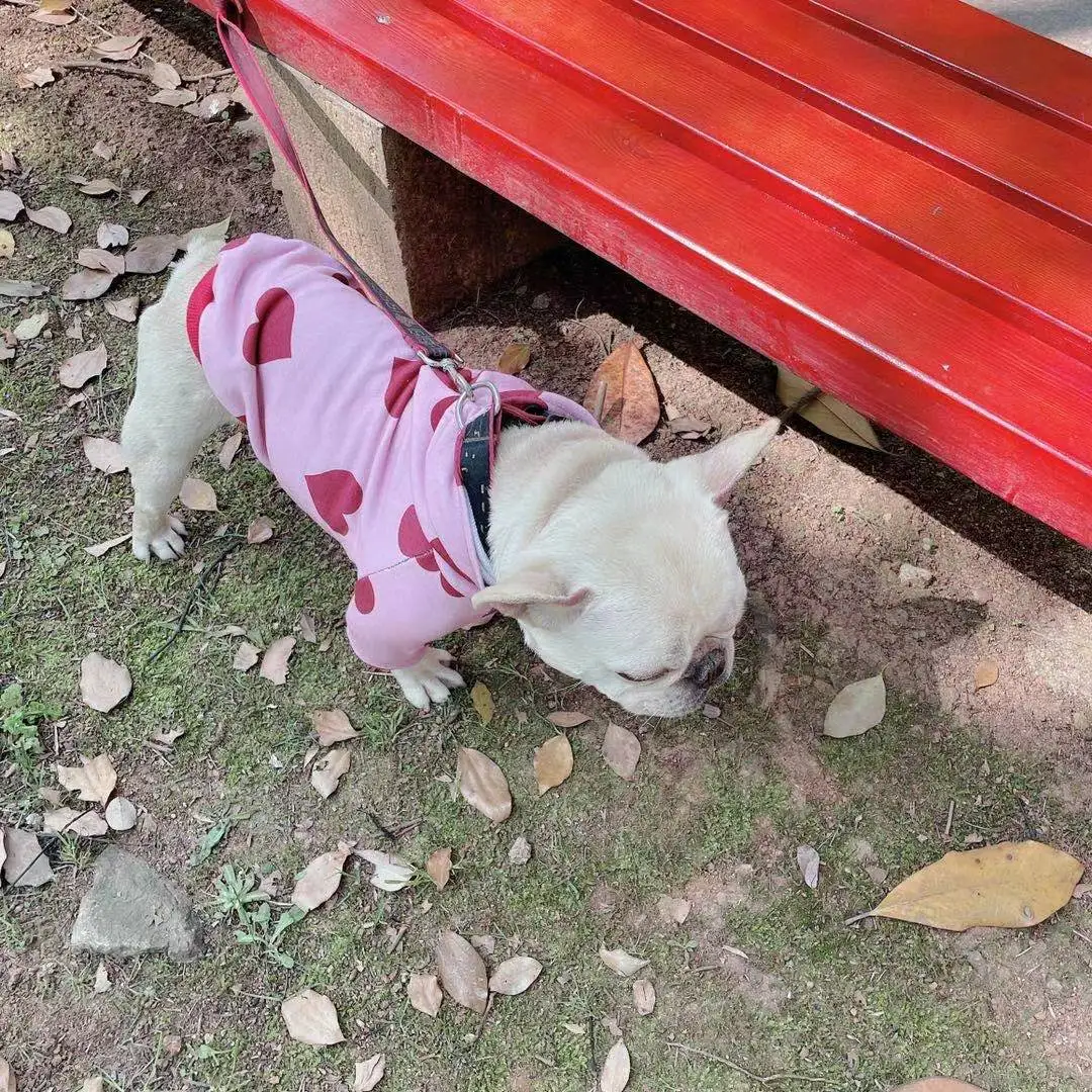 JXANRY Dog Heart Print Hoodie Autumn Winter Pet Clothes Japan Fashion Luxury Dog Coat