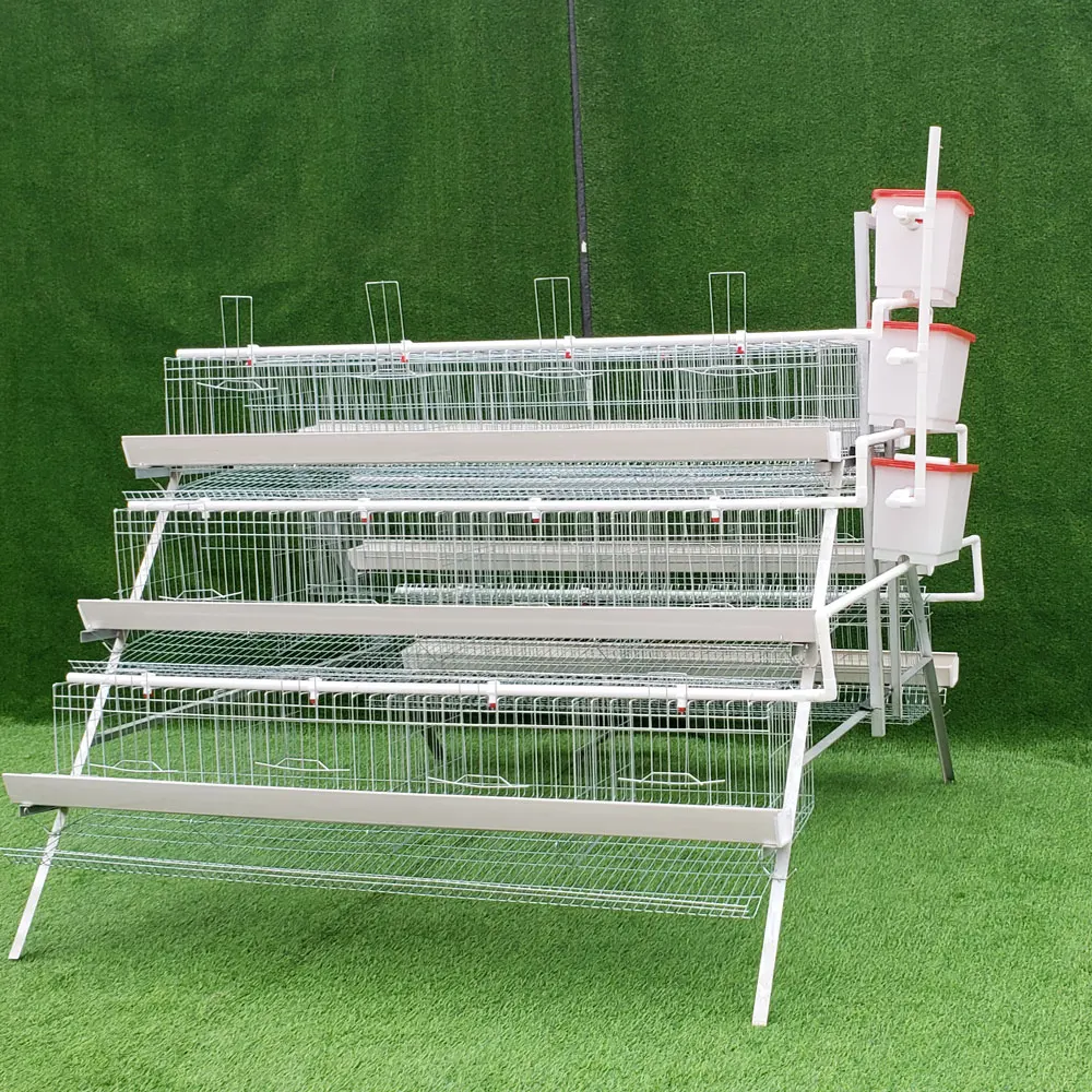 Hot Selling Poultry Cage Galvanized Automatic System Design Battery Box Layer Chicken Cages in Indonesia