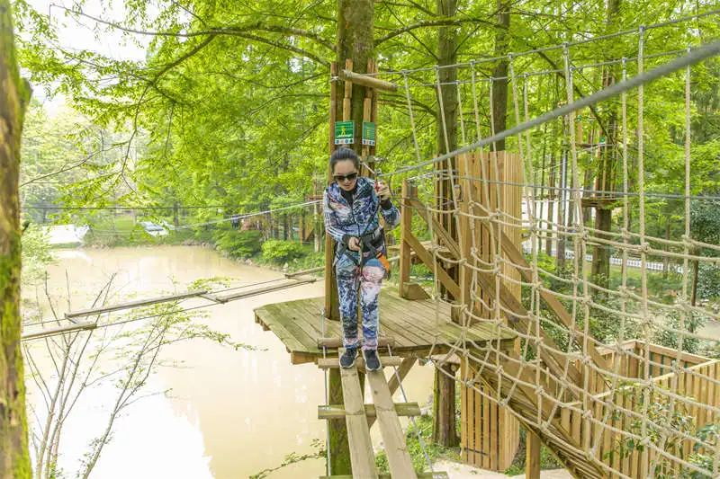 Aerial Forest Adventure Treetop Trekking Rope Course