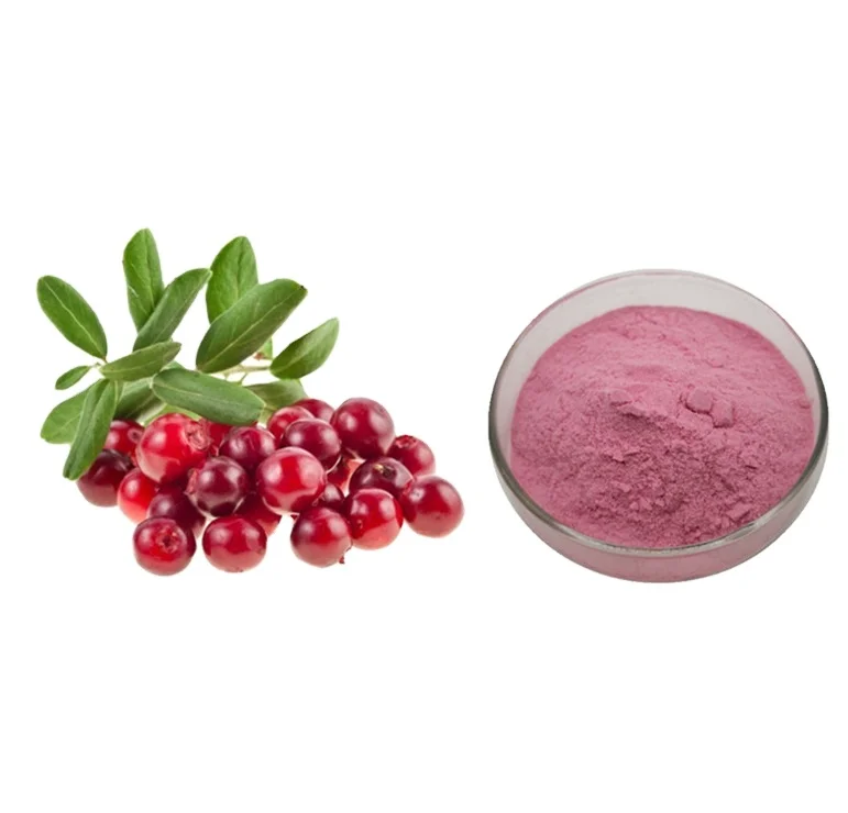 100% Natural Cranberry Extract Powder Cranberry Juice Concentrate Powder