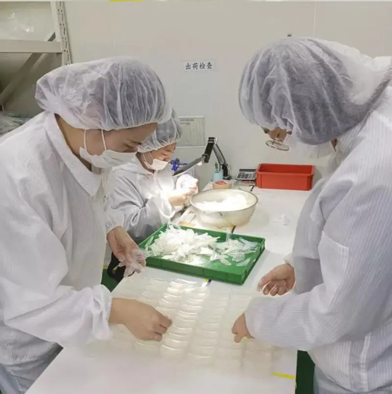 DOYLE NASAL SPLINT (2)_.jpg