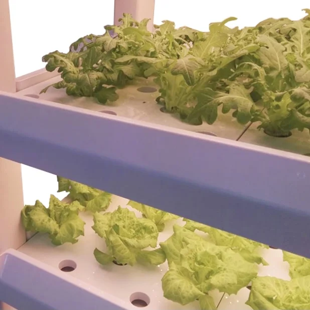hydroponic nursery tray4.jpg