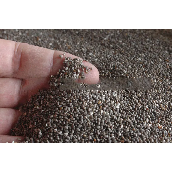 Идеальные органические семена ЧИА по оптовой цене от производителя