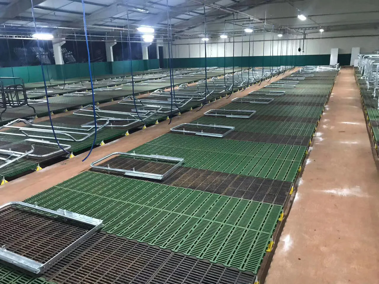 Pig Plastic Slat Floor Covering for  Farm equipment