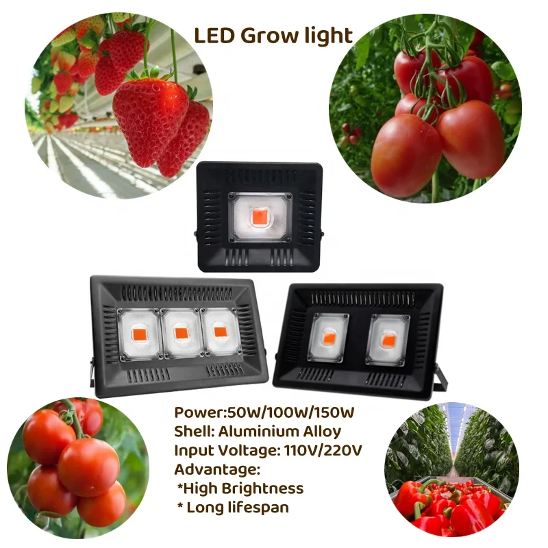 Professional Agricultural Grow Lamp IP65 Greenhouse farming grow lights diy indoor Hydroponic farming grow led light 100W