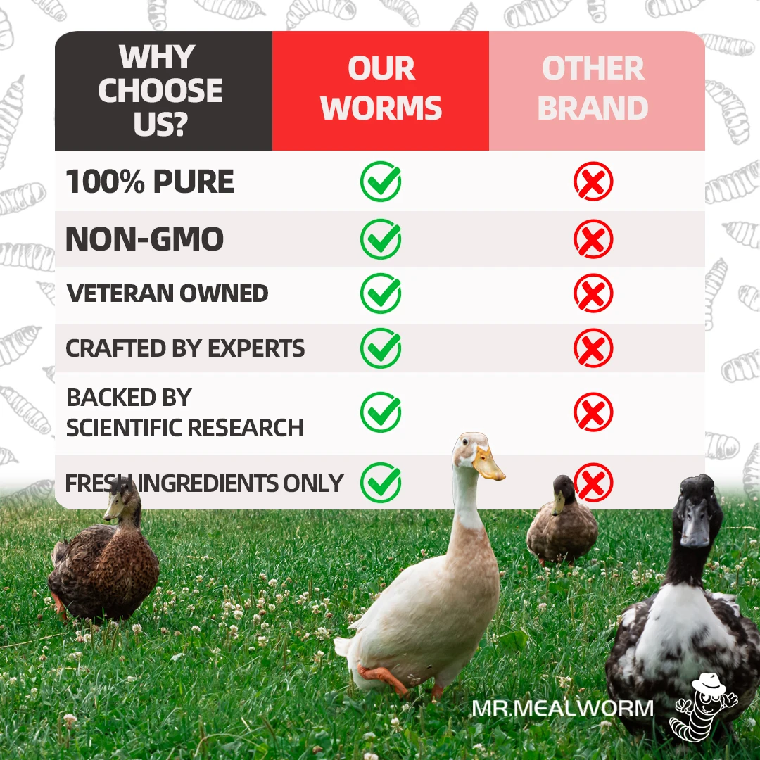 Best Selling VITAMINS & MINERALS Food Icon For Fish Raw Meat Vegetables Etc VITAMINS & MINERALS Hikari Frozen Fish Food