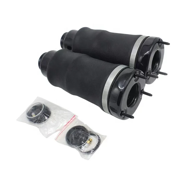 2513203013 2513205613 Auto parts Rear Air Suspension Struts for Benz R-Class W251 Air Spring repair kit