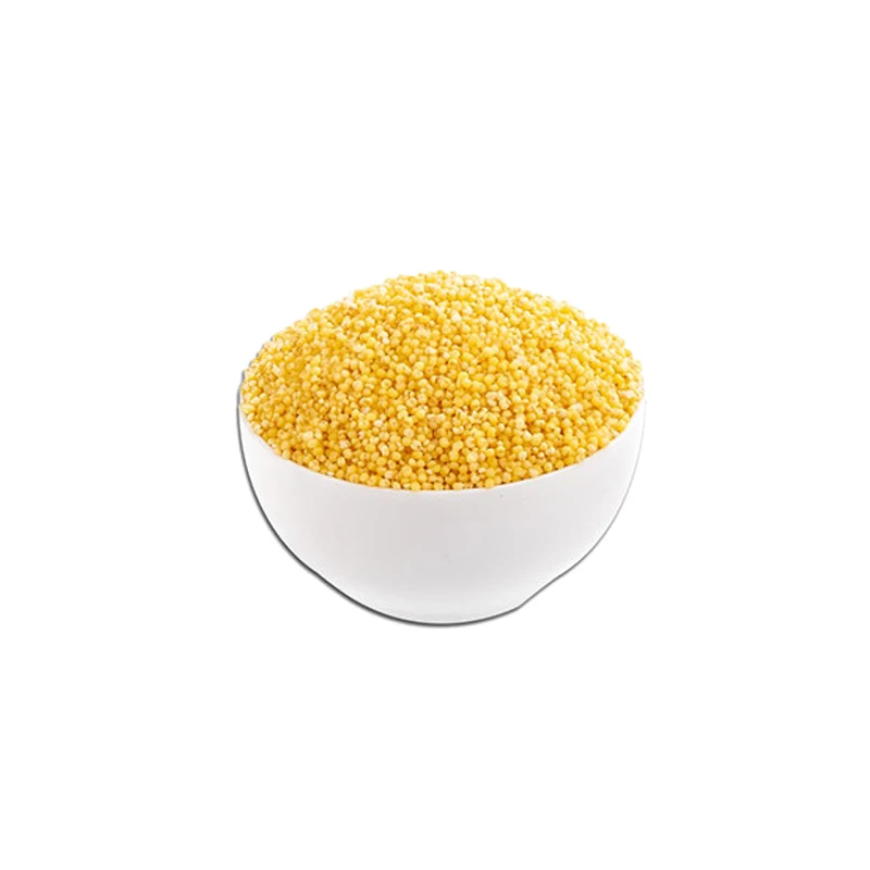 
Golden millet granules plump healthy origin, the first choice of green food 