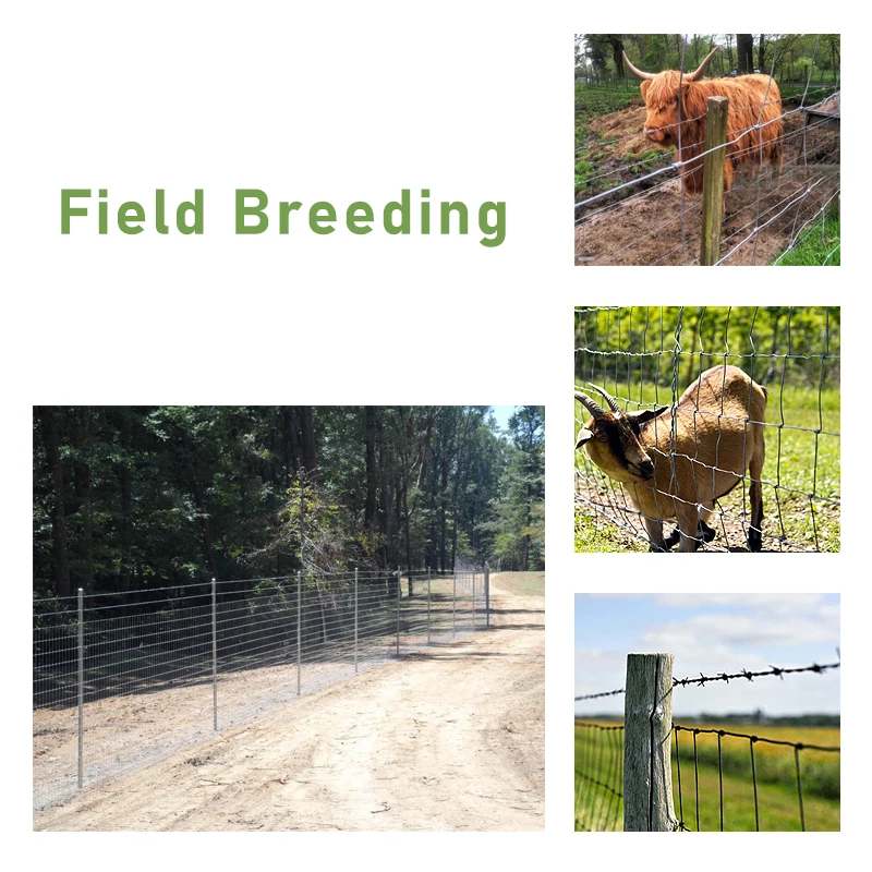 High Tensile Hot-Dipped Galvanized Steel Wire Mesh 1.0/1.2/2m Height & 50m Length for Livestock Farm Cattle Fence for Security