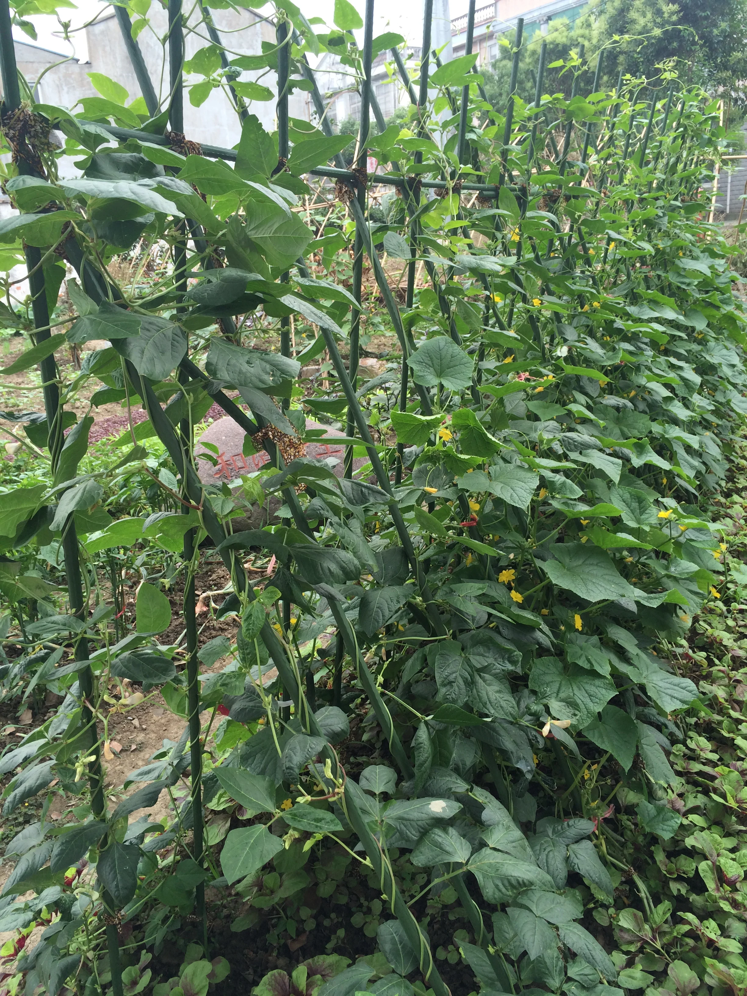 Patio Ornaments Metal Led Solar Wind Spinner Light Decoration Windmill Butterfly Garden Stakes