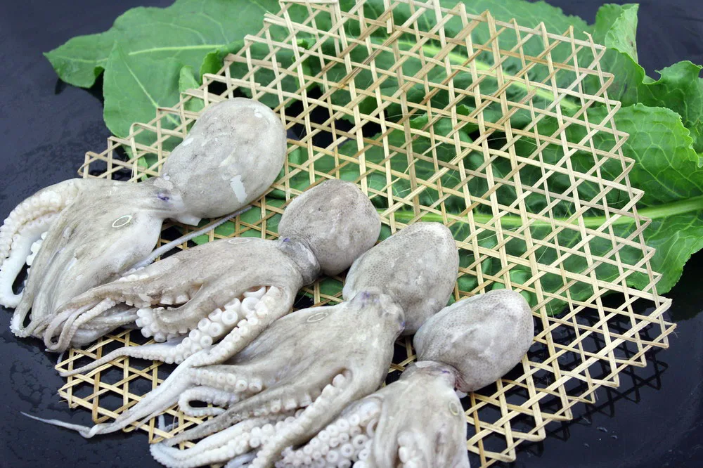 
Fresh seafood clean octopus baby octopus top quality octopus 
