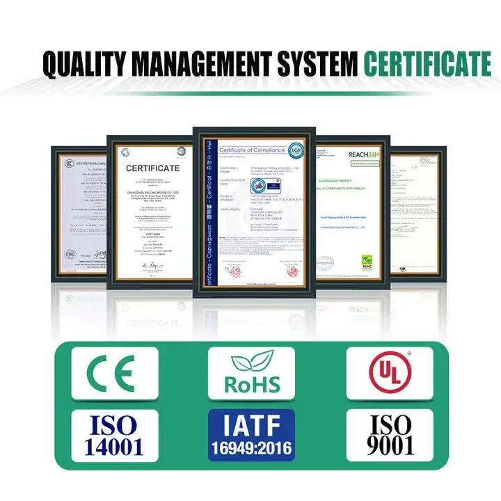 Fulling motor 70mm 0.55N.m 48v 210w Customizable 4750rpm maximum speed Frameless motor