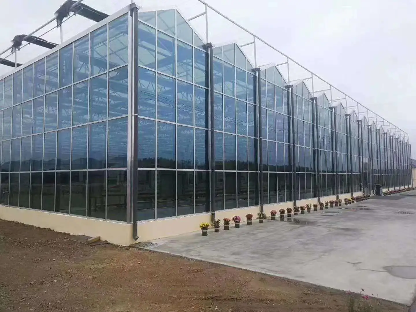 Factory direct price greenhouse frame Agricultural Multi Span Polycarbonate film Complete Set Greenhouse
