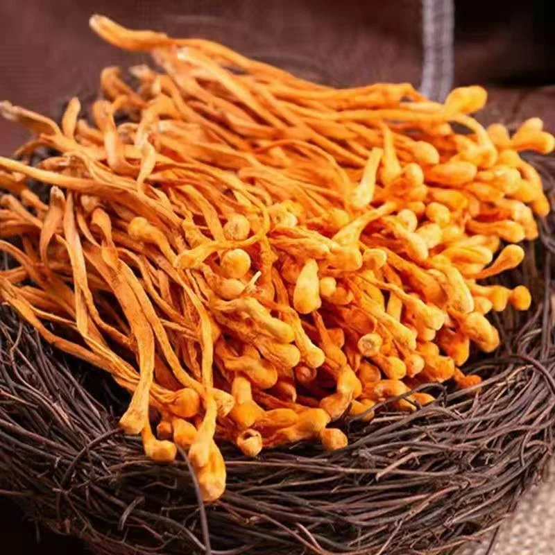 Горячая Здоровая пища YINING, органические сушеные кордицепсы, цветок Chongcaohua
