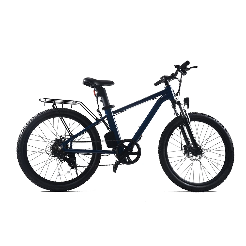 High Quality ebike Chinese Manufacturer Customized 10.4Ah Electric Bike 250W Electric Bicycle mountain Bike