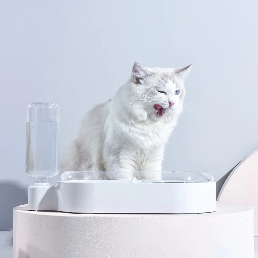 Newest pet water fountain food feeder travel bowl Wholesale Customized Dog cat Bowl Non Slip Pet Slow Feeding