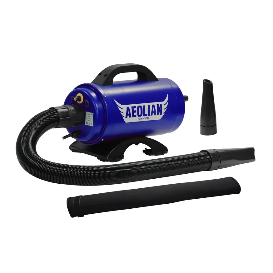 CB-901GT-PRO Powerful Single AMETEK Motor 2800W Car Dryer Blower