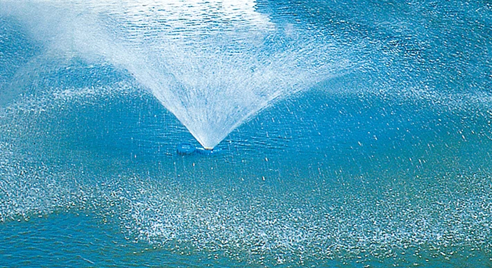 Light Weight and Movable Spray Floating  Aerator Pump Fountain Aerator For Fish Farming