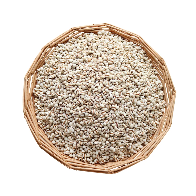 Customized Barley Grain Malt Hulled at Competitive Price