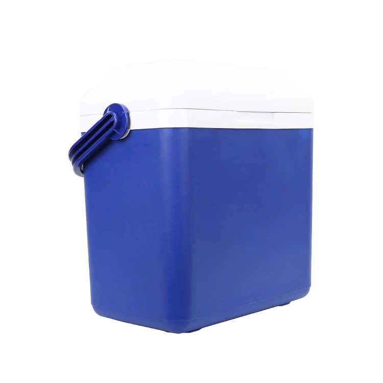 oem plastic hard mini cooler outdoor picnic car ice chest cooler box 12L Frozen Fishing camping wine bottle cooler