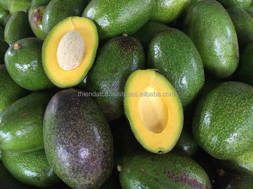 Вьетнамский авокадо по лучшей цене