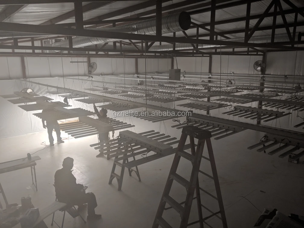 led grow light Samsung lm561c lm301b lm301h full spectrum 800w 900w 1000w horticulture indoor hydroponic growing system