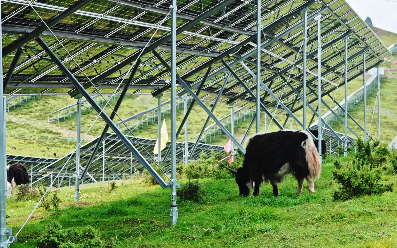 Yangtze New Design 1MW & 10 MW Electric Farm Power Generator Solar Energy System