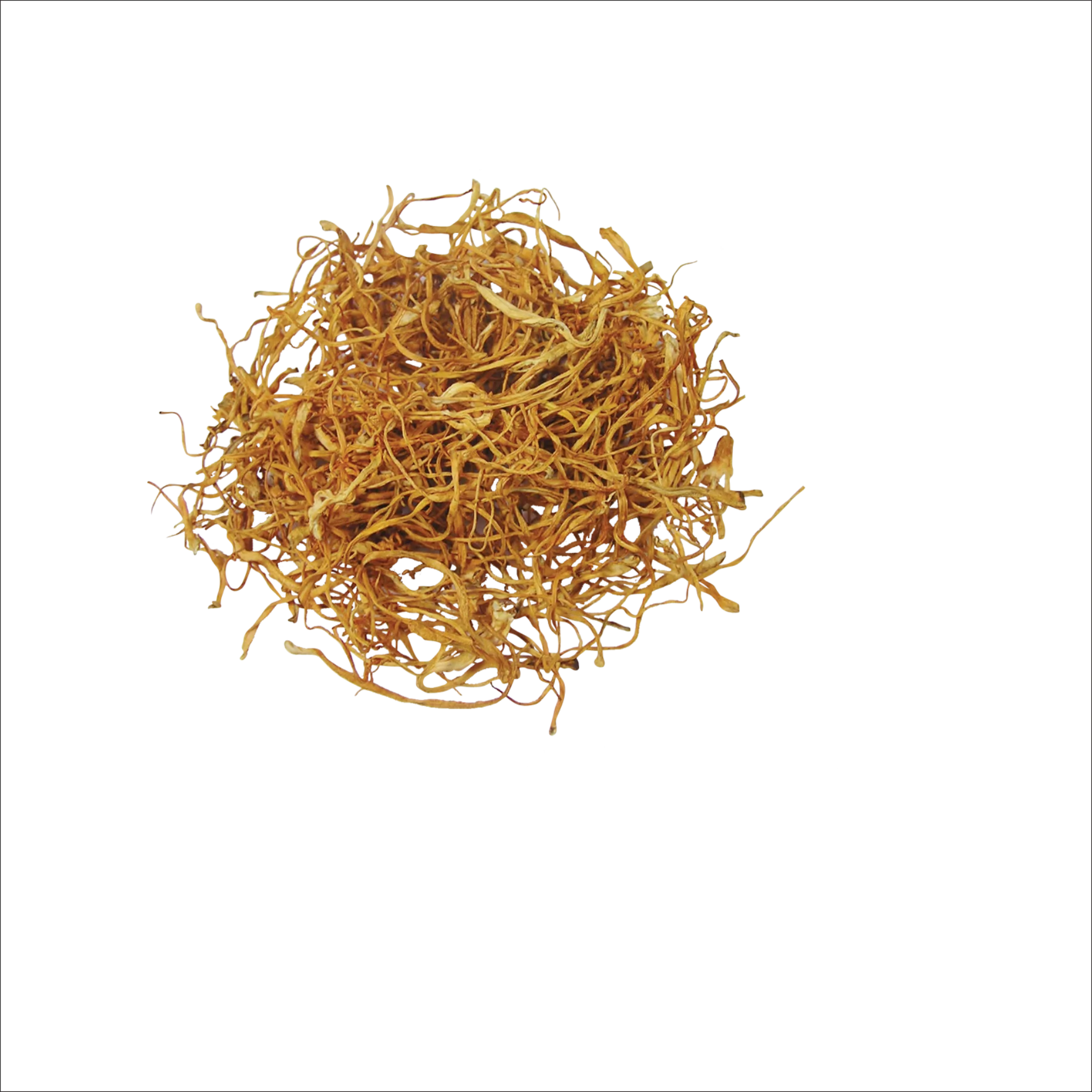 Organic health plant mushroom pure 30% capsule powder militaris cordyceps sinensis extract for sale