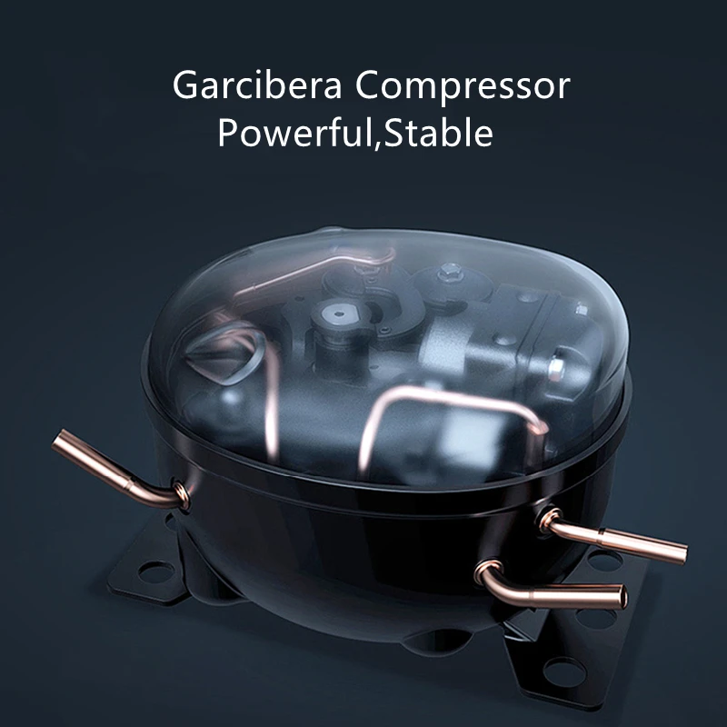 Горячая Распродажа 2021 года! Машина для возраста на говядину и мясо, маленький шкаф для стейка, холодильник, большая емкость, домашний шкаф, холодильник для сухого и старения