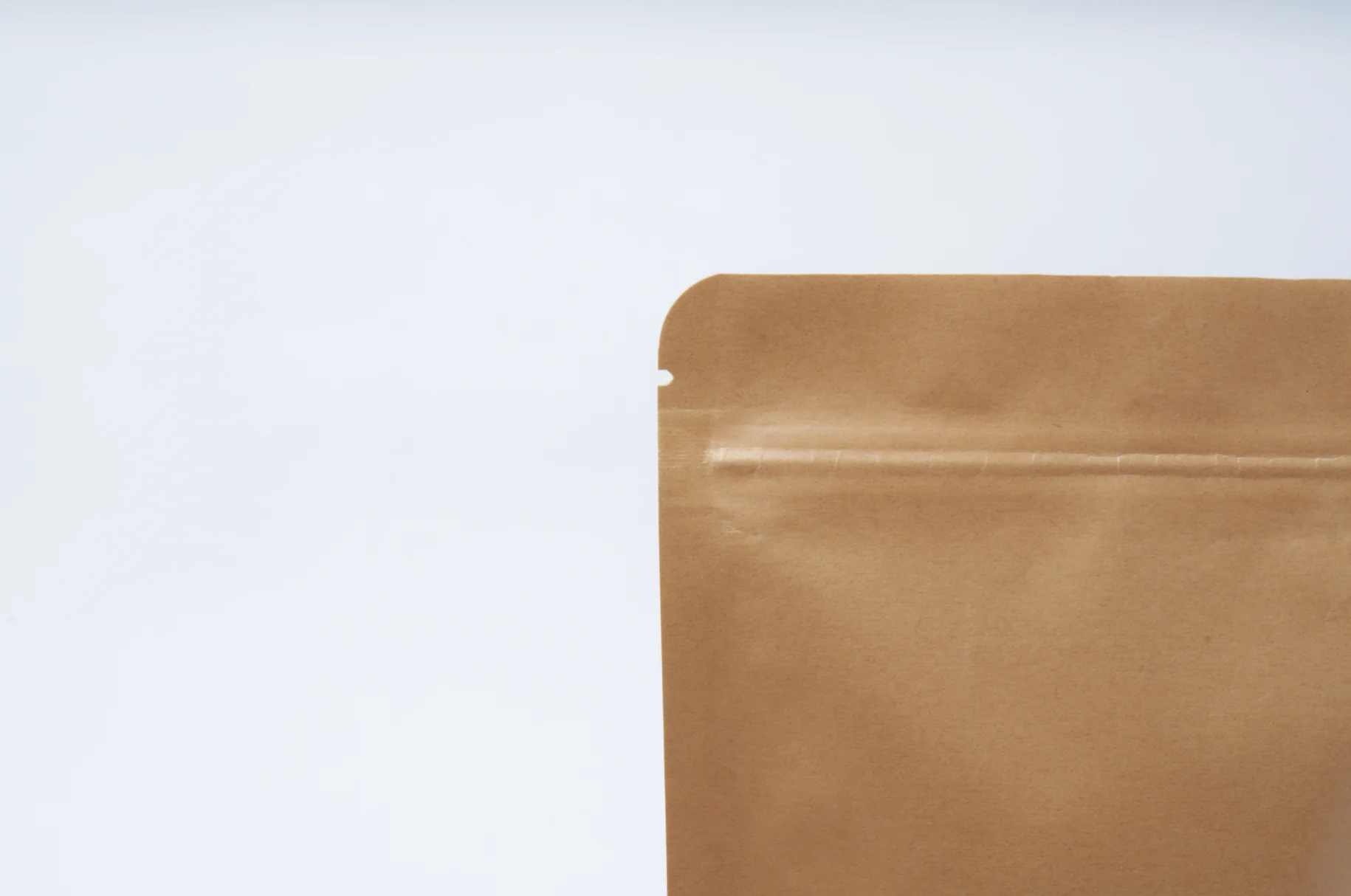 Wholesale Custom Logo Plastic Vacuum Snack Mango Dried Fruit Package Pouch Dry Food Packaging