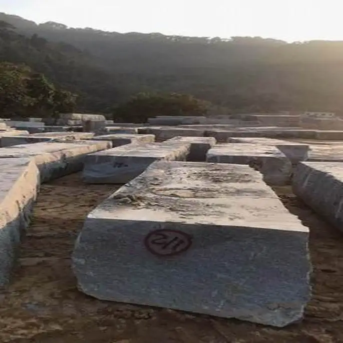 Granite Slabs Natural Stone Granite Paving G654 Granit Floor Tile Product