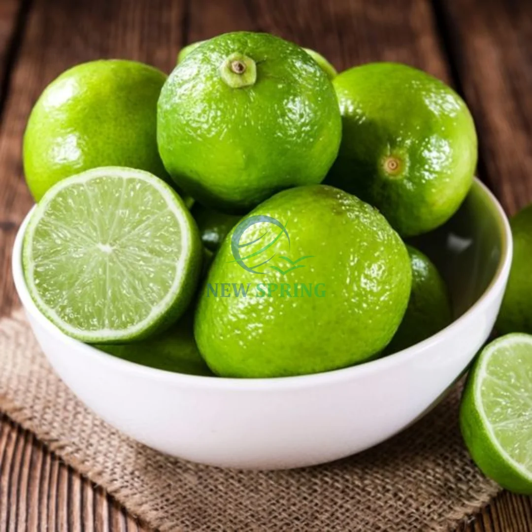 2023 Fresh Lemon Green Lemon  From Viet Nam Ready To Ship