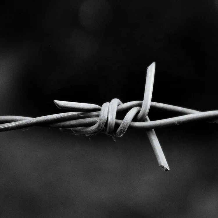 Лидер продаж колючая проволока цепь железная забор с колючей проволокой