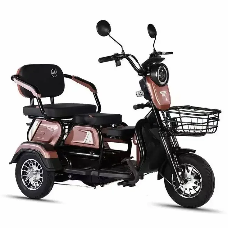 Cheap Electric Tricycle 600W/ 800W 3 Wheel Electric Passenger Bicycle Adult Cargo Tricycle
