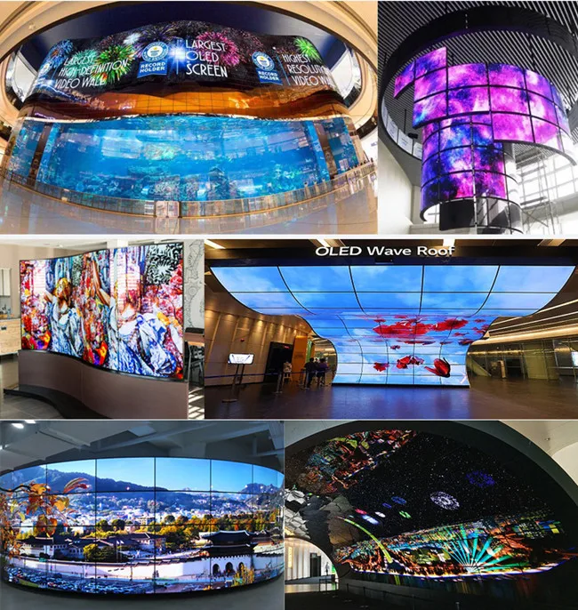 55 inch Flexible Curved Display OLED Customized Shape Screen for Advertising Exhibition and Events