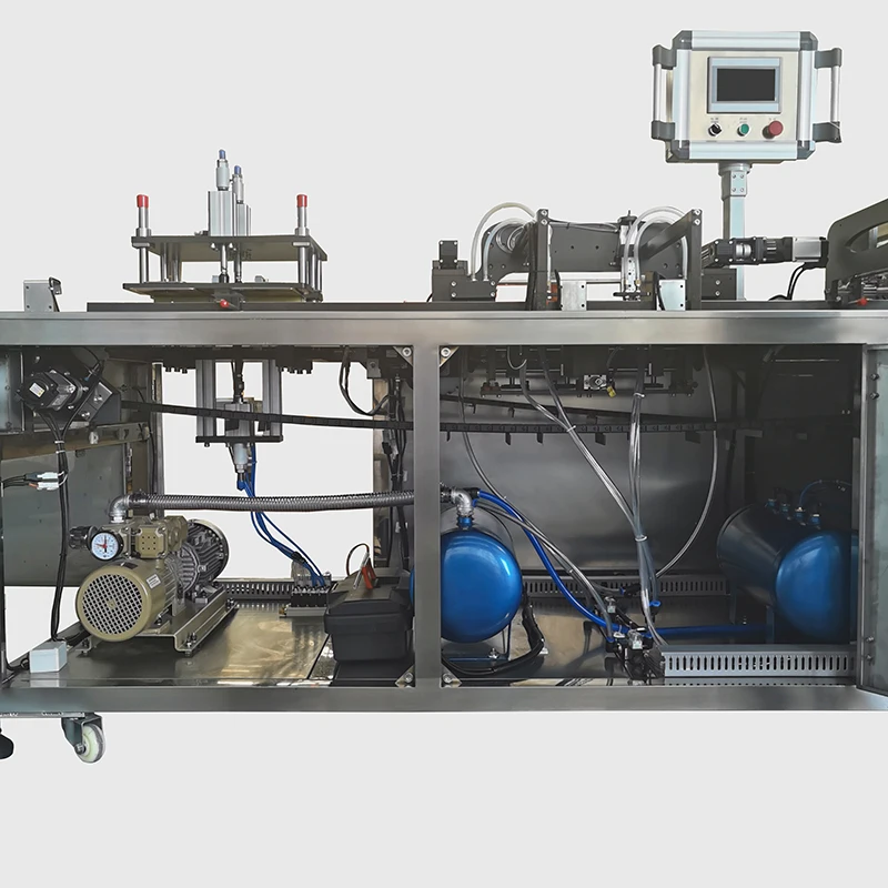 HYZK-100 Automatic vacuum packing machine for food vacuum sealer packaging machine