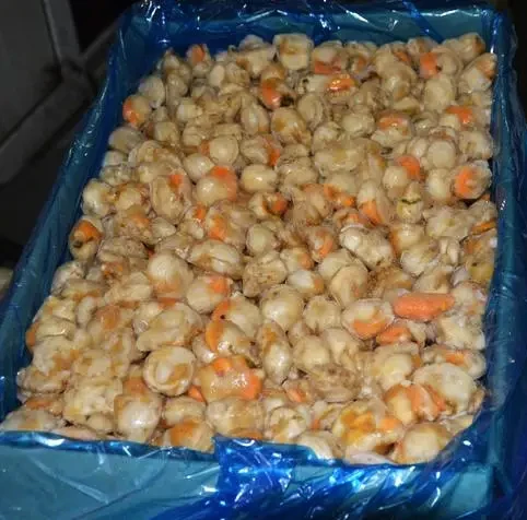 High Quality Factory Prices  Frozen Scallop Meat
