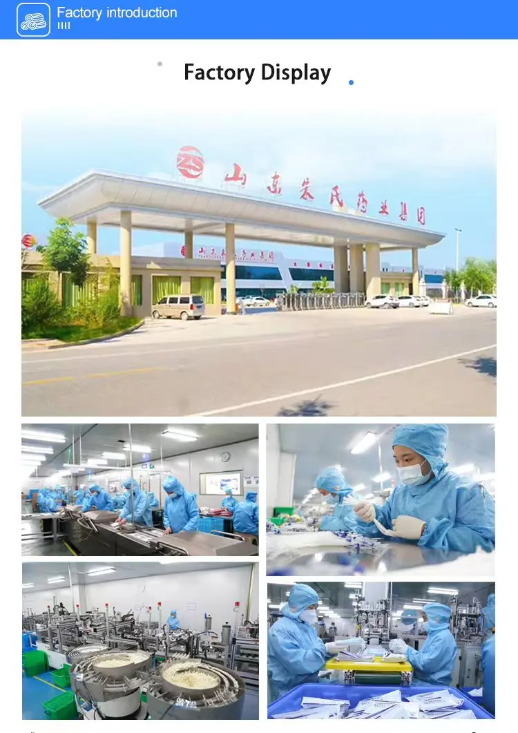 ZHUSHI China Manufacturer Diabetes Foot Patch Ginger Organic Detox Feet Cleansing Ginger Foot Detox Pads