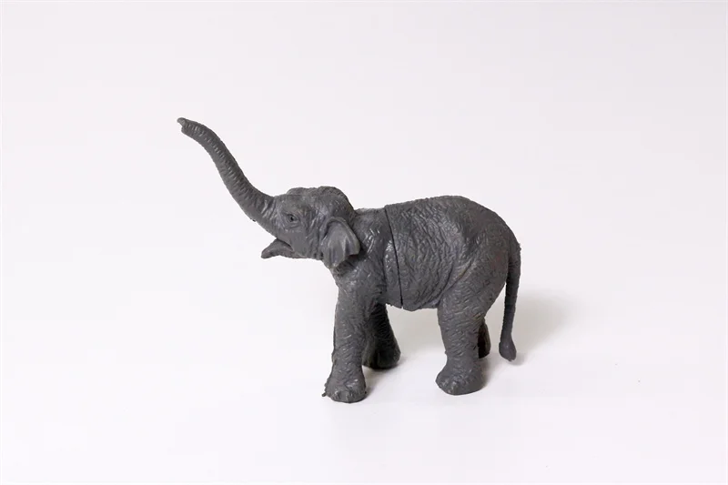 YX  Animal (1)