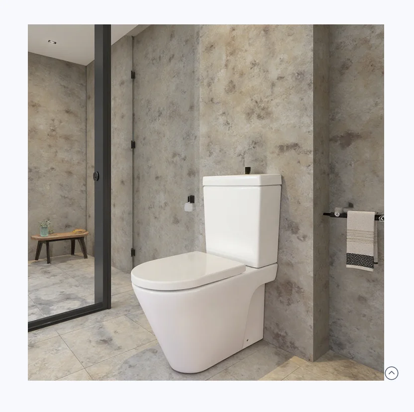 Cheap Iraqi Bidet Saudi Arabia Toilet 2 Piece Flush Toilet Two Piece Toilet for Home