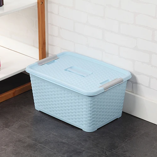 Plastic Rattan Storage Box