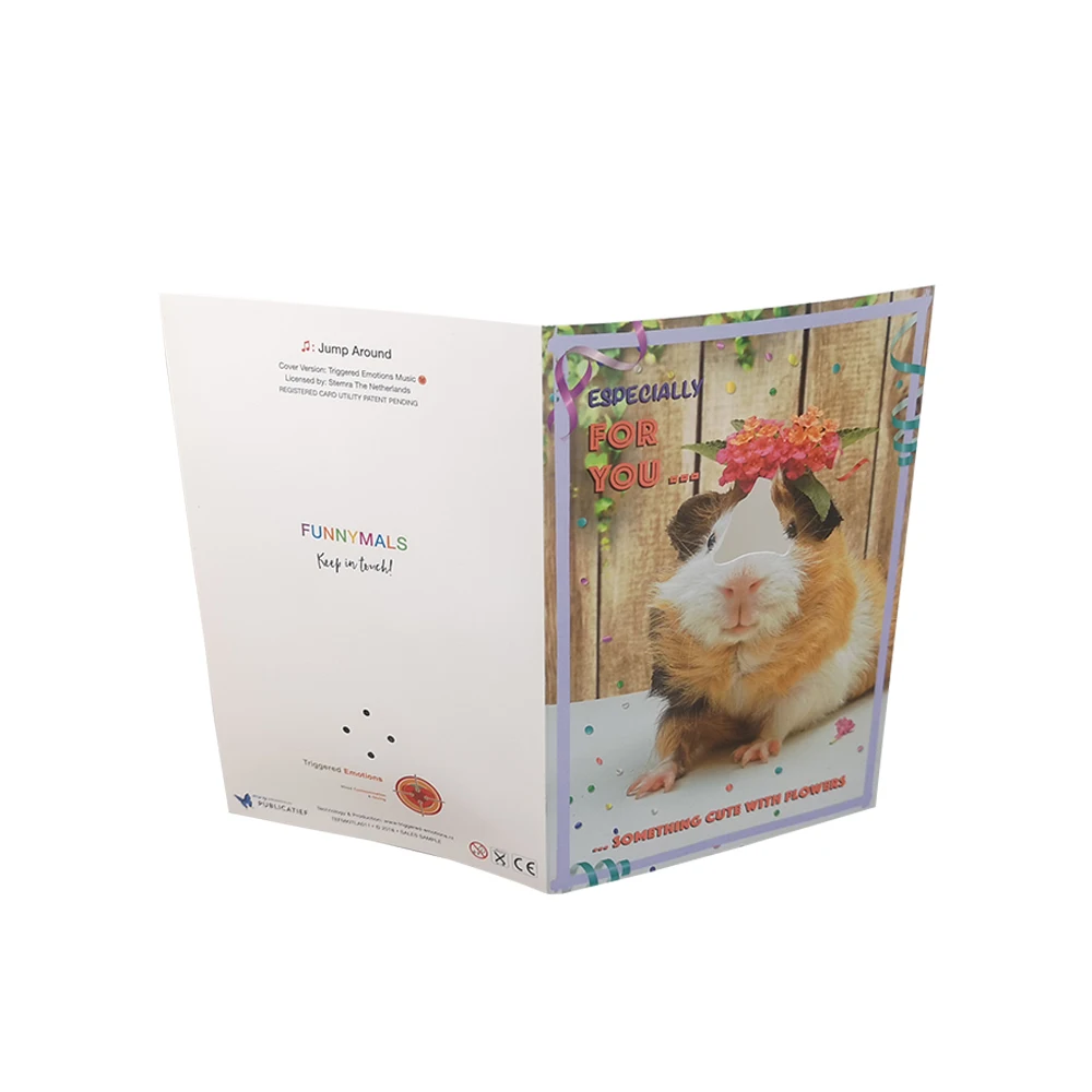 music greeting card insert sound chip with custom song